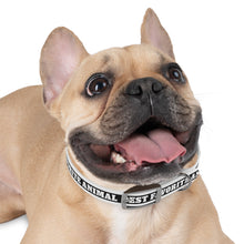 Load image into Gallery viewer, Best Favorite Animal Collar
